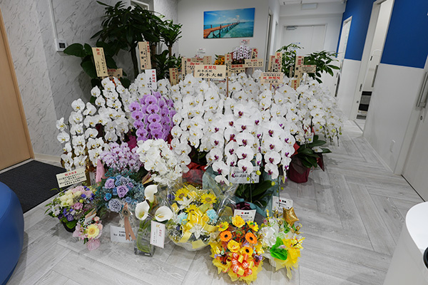 内覧会で頂戴した胡蝶蘭や花々