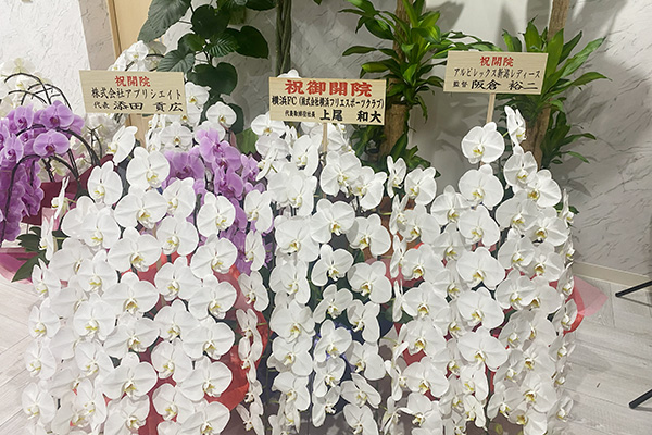 内覧会で頂戴した胡蝶蘭